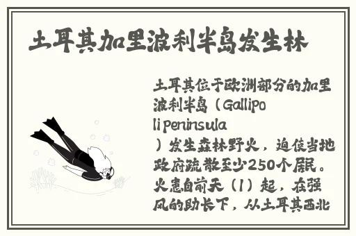 夫妻之间看的视频免费观看